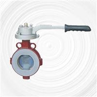 D41F、D71F型调节型四氟密封蝶阀